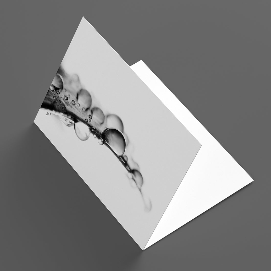 Gift Card - Droplets