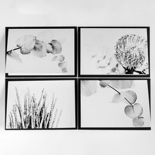 Load image into Gallery viewer, Black and White Gift Card Collection
