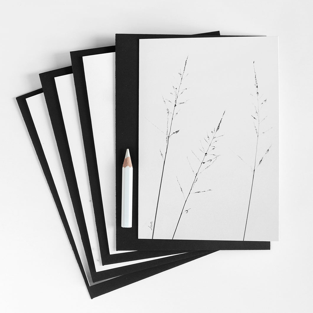Grass Collection - Set of 4 Gift Cards