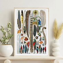 Load image into Gallery viewer, Art Print - Feathers (A4)

