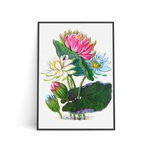 Load image into Gallery viewer, Art Print - (A4)
