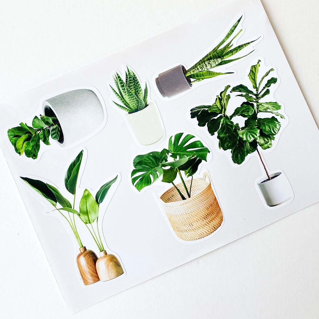 Stickers - Indoor Plants