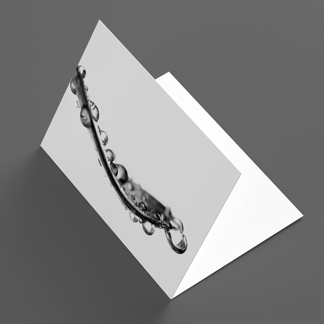 Gift Card - Teardrop