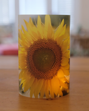 Load image into Gallery viewer, Tea Light Shade
