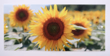 Load image into Gallery viewer, Tea Light Shade
