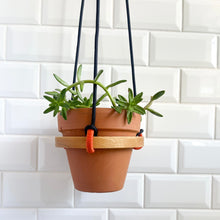 Load image into Gallery viewer, Ash Plant Hanger - 15cm
