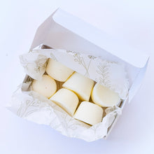 Load image into Gallery viewer, Soy Wax Melts - Karoo Days (Ylang Ylang, Peach and Vetiver)
