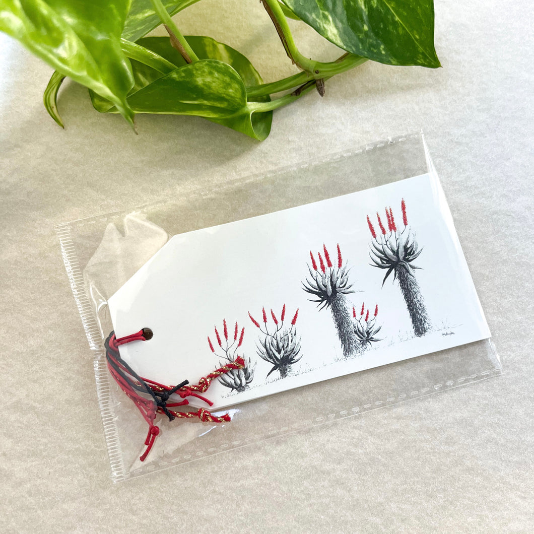Aloe Plant Gift Tag Pack