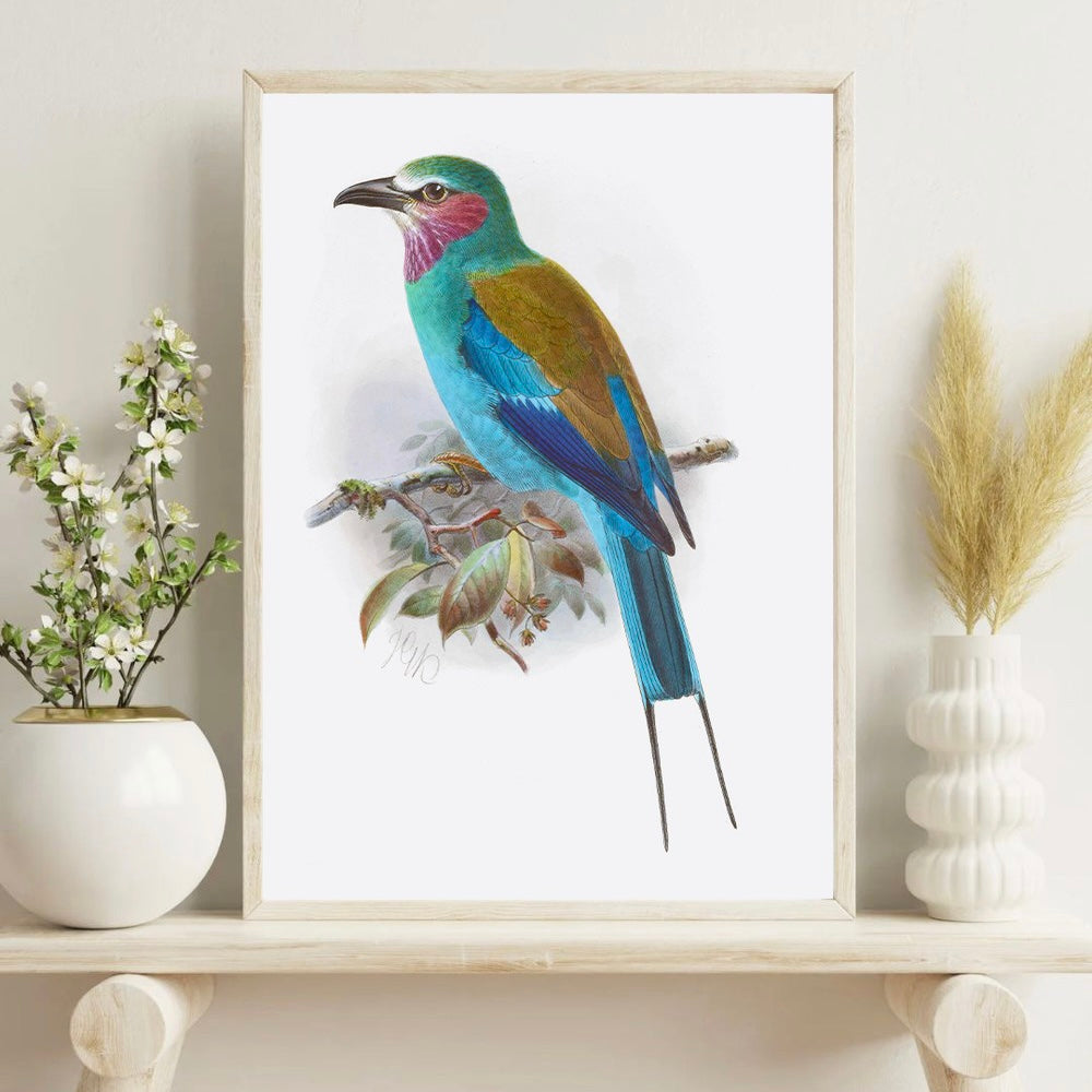 Art Print - Lilac Breasted Roller (A3)