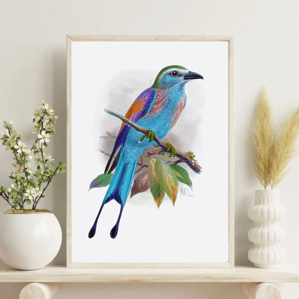 Art Print - Raquet Tailed Roller (A3)