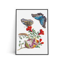 Load image into Gallery viewer, Art Print - (A3)

