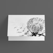 Load image into Gallery viewer, Hearts Collection Set of 4 Gift Cards
