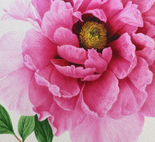 Load image into Gallery viewer, Art Print - Peony (A3)
