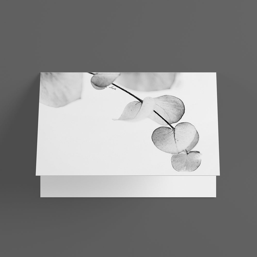 Gift Card - Twig