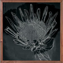 Load image into Gallery viewer, King Protea - Black Canvas
