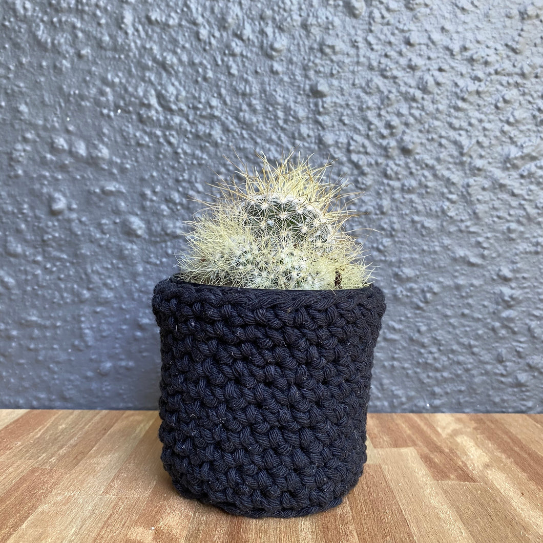 Cactus Jersey - Black