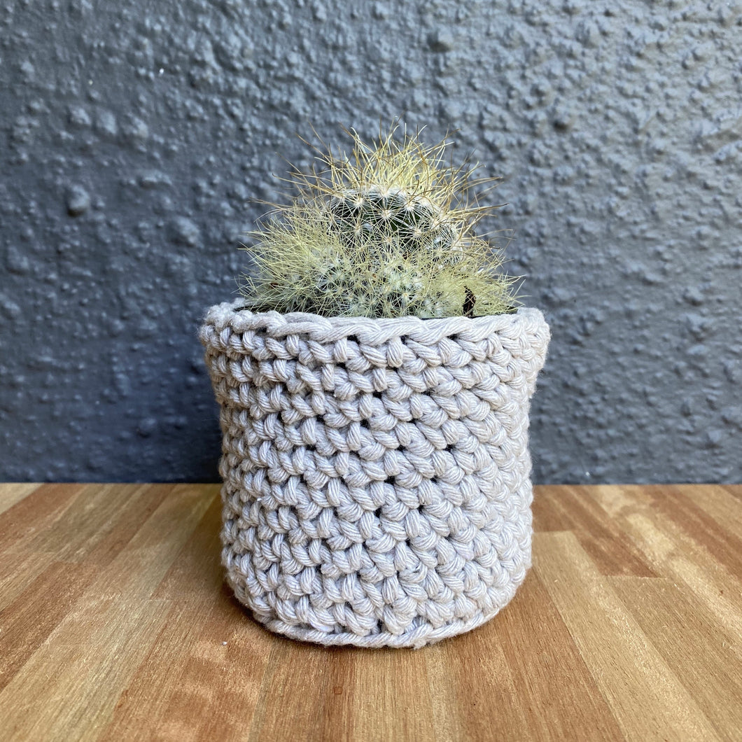 Cactus Jersey - Stone