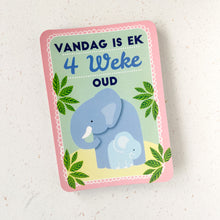 Load image into Gallery viewer, Developmental Cards for Baby - Afrikaans
