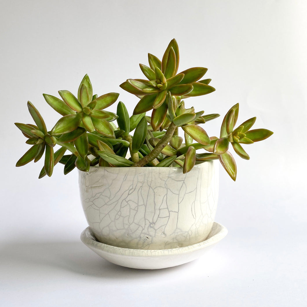 Ceramic Planter - White Crackle with base