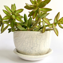 Load image into Gallery viewer, Ceramic Planter - White Crackle with base
