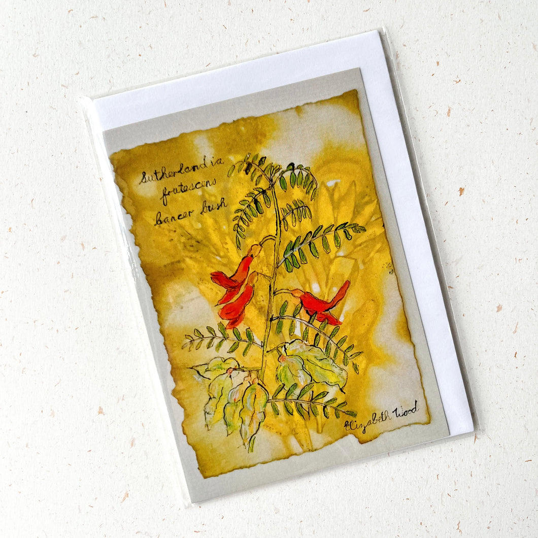 Fynbos Greeting Card
