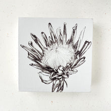 Load image into Gallery viewer, King Protea - White Canvas
