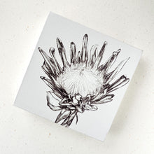Load image into Gallery viewer, King Protea - White Canvas
