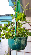 Load image into Gallery viewer, Ceramic Hanging Planter - Green
